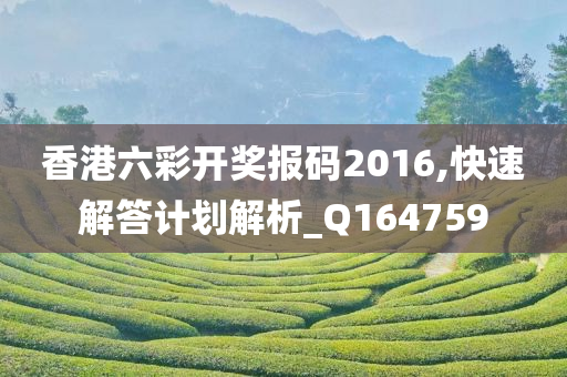 香港六彩开奖报码2016,快速解答计划解析_Q164759