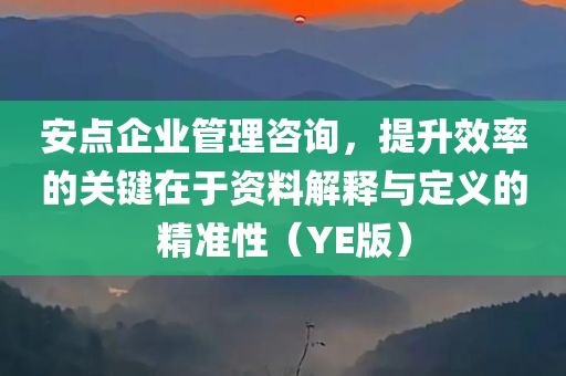 安点企业管理咨询，提升效率的关键在于资料解释与定义的精准性（YE版）