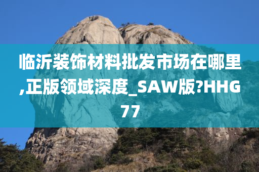 临沂装饰材料批发市场在哪里,正版领域深度_SAW版?HHG77