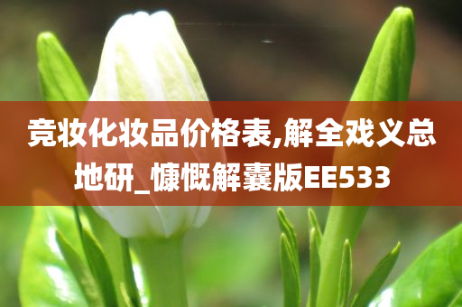 竞妆化妆品价格表,解全戏义总地研_慷慨解囊版EE533