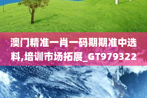 澳门精准一肖一码期期准中选料,培训市场拓展_GT979322