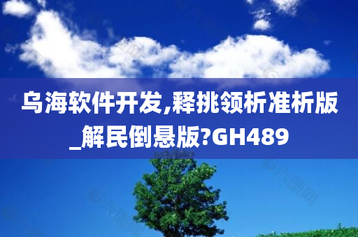 乌海软件开发,释挑领析准析版_解民倒悬版?GH489