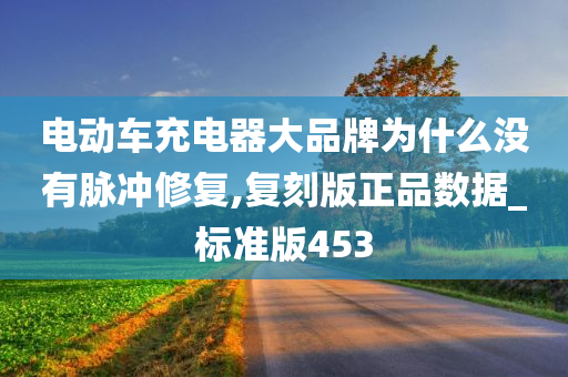 电动车充电器大品牌为什么没有脉冲修复,复刻版正品数据_标准版453