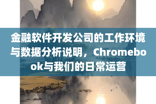 金融软件开发公司的工作环境与数据分析说明，Chromebook与我们的日常运营