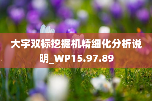 大宇双标挖掘机精细化分析说明_WP15.97.89