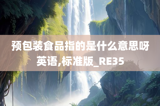 预包装食品指的是什么意思呀英语,标准版_RE35