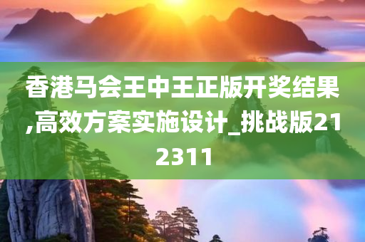 香港马会王中王正版开奖结果,高效方案实施设计_挑战版212311