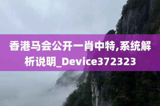 香港马会公开一肖中特,系统解析说明_Device372323