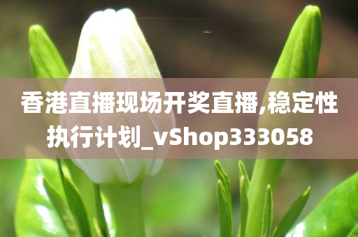 香港直播现场开奖直播,稳定性执行计划_vShop333058