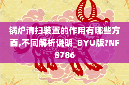 锅炉清扫装置的作用有哪些方面,不同解析说明_BYU版?NF8786