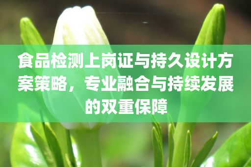 食品检测上岗证与持久设计方案策略，专业融合与持续发展的双重保障