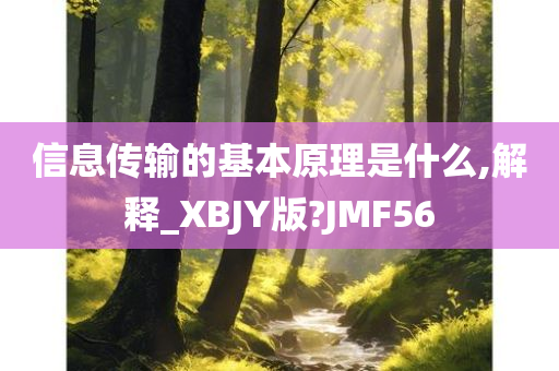 信息传输的基本原理是什么,解释_XBJY版?JMF56