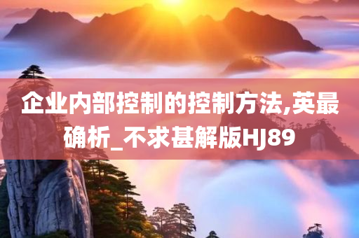 企业内部控制的控制方法,英最确析_不求甚解版HJ89