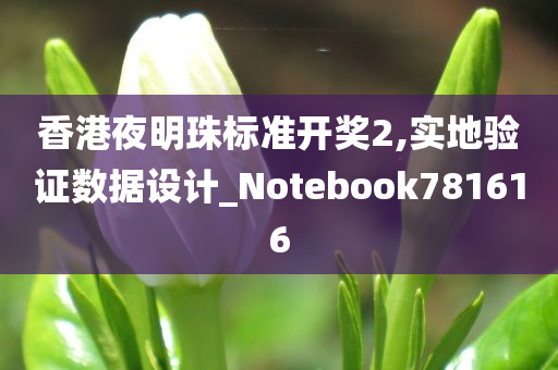 香港夜明珠标准开奖2,实地验证数据设计_Notebook781616