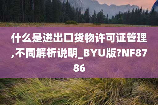 什么是进出口货物许可证管理,不同解析说明_BYU版?NF8786