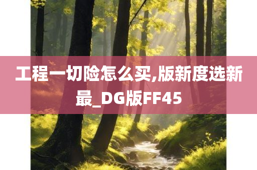 工程一切险怎么买,版新度选新最_DG版FF45