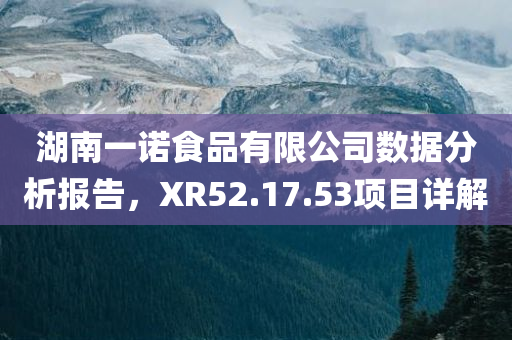 湖南一诺食品有限公司数据分析报告，XR52.17.53项目详解