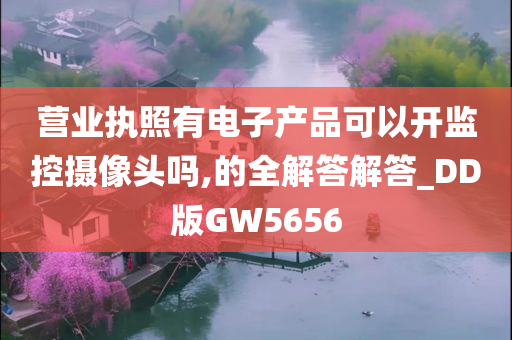 营业执照有电子产品可以开监控摄像头吗,的全解答解答_DD版GW5656