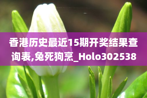 香港历史最近15期开奖结果查询表,兔死狗烹_Holo302538