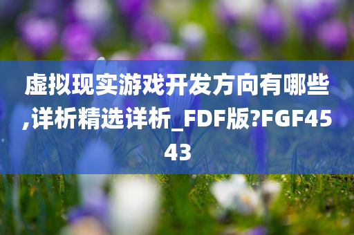 虚拟现实游戏开发方向有哪些,详析精选详析_FDF版?FGF4543