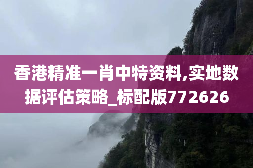 香港精准一肖中特资料,实地数据评估策略_标配版772626