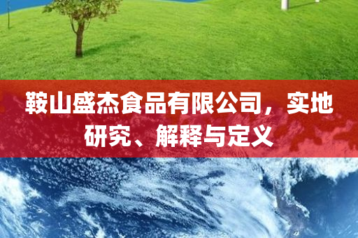 鞍山盛杰食品有限公司，实地研究、解释与定义