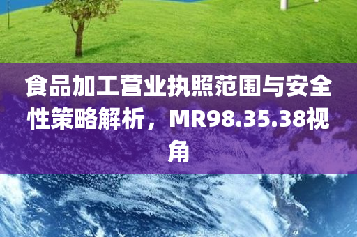 食品加工营业执照范围与安全性策略解析，MR98.35.38视角