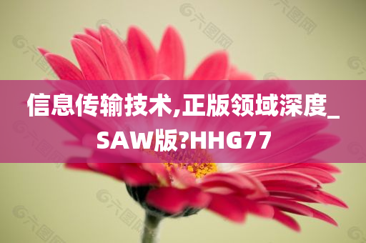 信息传输技术,正版领域深度_SAW版?HHG77