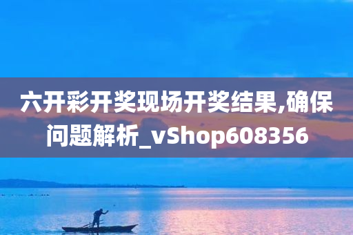 六开彩开奖现场开奖结果,确保问题解析_vShop608356