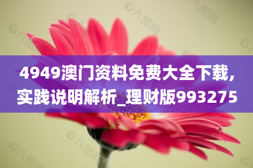 4949澳门资料免费大全下载,实践说明解析_理财版993275