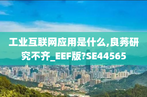 工业互联网应用是什么,良莠研究不齐_EEF版?SE44565