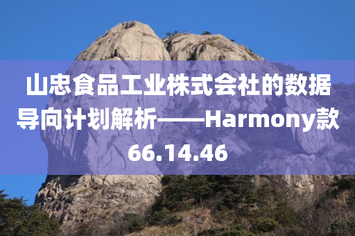 山忠食品工业株式会社的数据导向计划解析——Harmony款66.14.46