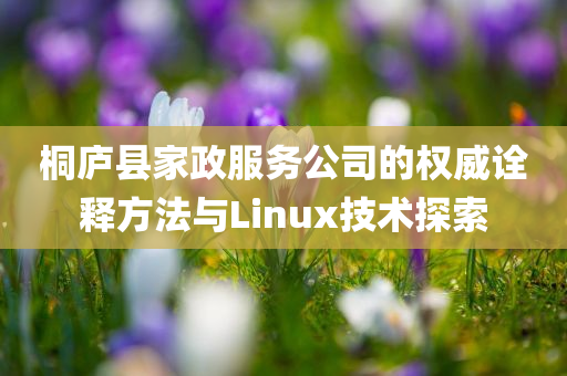 桐庐县家政服务公司的权威诠释方法与Linux技术探索