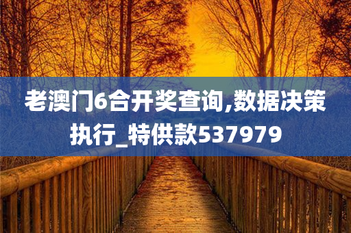 老澳门6合开奖查询,数据决策执行_特供款537979