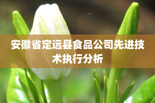 安徽省定远县食品公司先进技术执行分析