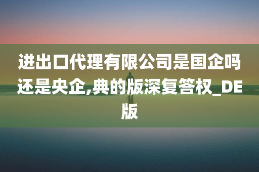 进出口代理有限公司是国企吗还是央企,典的版深复答权_DE版