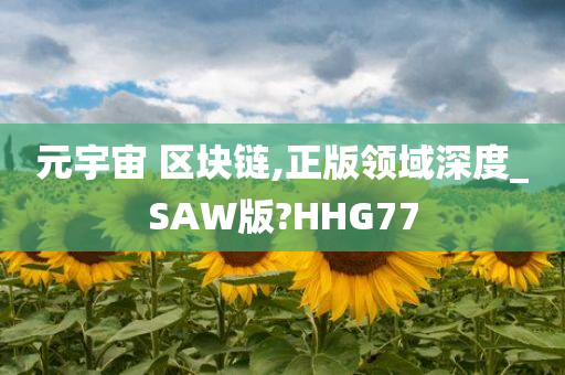 元宇宙 区块链,正版领域深度_SAW版?HHG77