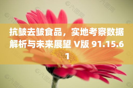 抗皱去皱食品，实地考察数据解析与未来展望 V版 91.15.61