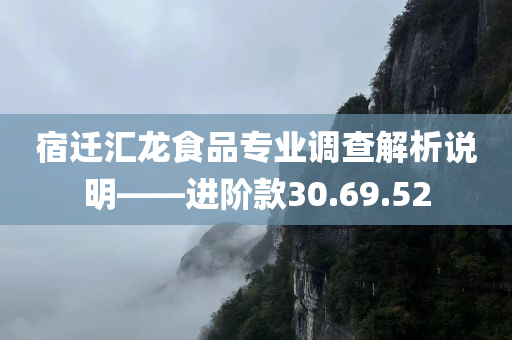 宿迁汇龙食品专业调查解析说明——进阶款30.69.52