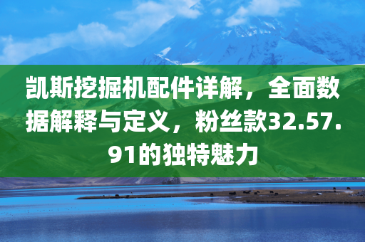 凯斯挖掘机配件详解，全面数据解释与定义，粉丝款32.57.91的独特魅力