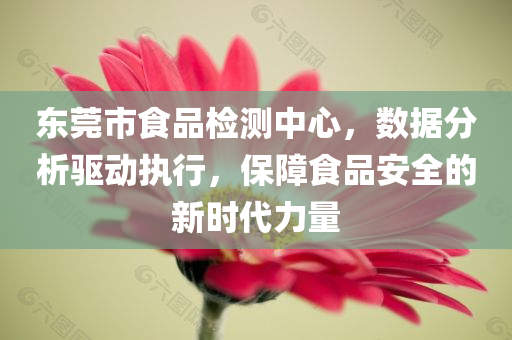 东莞市食品检测中心，数据分析驱动执行，保障食品安全的新时代力量