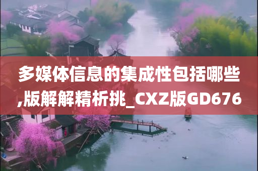 多媒体信息的集成性包括哪些,版解解精析挑_CXZ版GD676