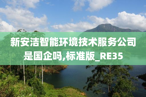 新安洁智能环境技术服务公司是国企吗,标准版_RE35