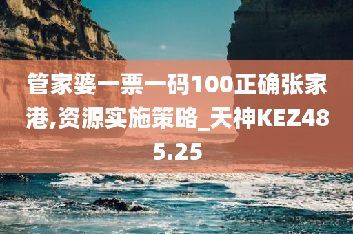 管家婆一票一码100正确张家港,资源实施策略_天神KEZ485.25