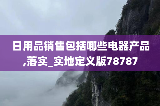 日用品销售包括哪些电器产品,落实_实地定义版78787