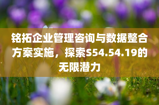 铭拓企业管理咨询与数据整合方案实施，探索S54.54.19的无限潜力