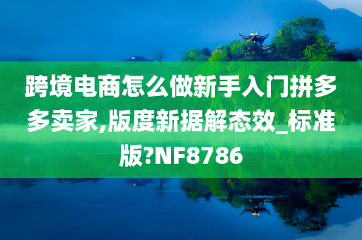 跨境电商怎么做新手入门拼多多卖家,版度新据解态效_标准版?NF8786