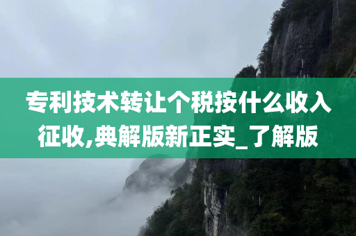 专利技术转让个税按什么收入征收,典解版新正实_了解版