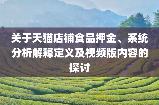 关于天猫店铺食品押金、系统分析解释定义及视频版内容的探讨