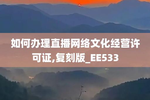 如何办理直播网络文化经营许可证,复刻版_EE533